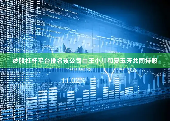 炒股杠杆平台排名该公司由王小川和夏玉芳共同持股