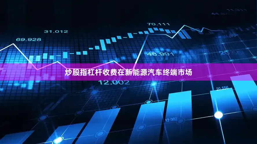 炒股指杠杆收费　　在新能源汽车终端市场