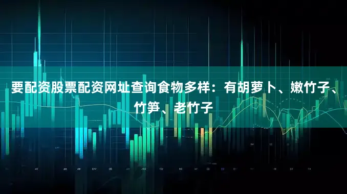 要配资股票配资网址查询食物多样：有胡萝卜、嫩竹子、竹笋、老竹子