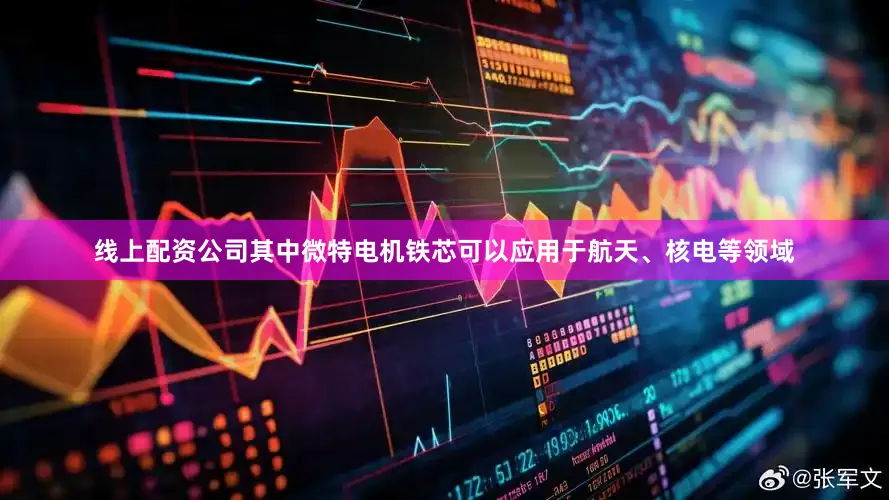 线上配资公司其中微特电机铁芯可以应用于航天、核电等领域